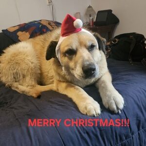 Meet your Posher, Johnandmolly